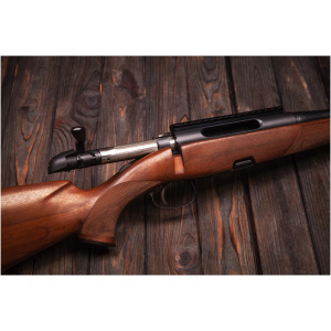 Bolt Action Shotguns