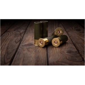 Shotgun Shells