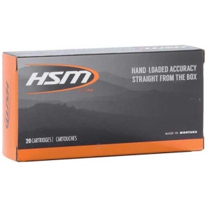 HSM 300 AAC 155GR A-MAX BTHP - 20RD 25BX/CS
