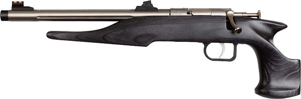 CHIPMUNK PISTOL HUNTER .22LR