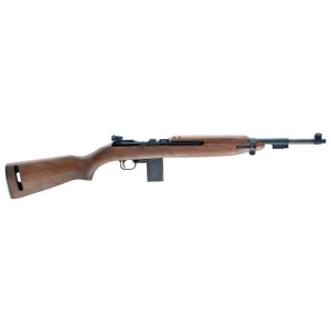CHIAPPA M1-22 .22LR