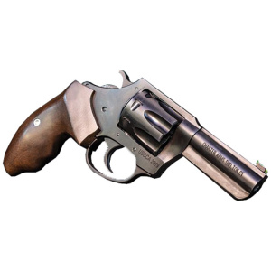 CHARTER ARMS THE PROFESSIONAL