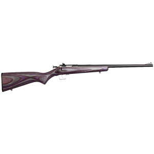CRICKETT RIFLE G2 PURPLE/SS 22LR