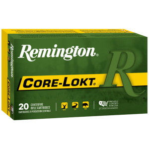 REMINGTON 450 BM 300GR - CORE-LOKT PSP 20RD 10BX/CS