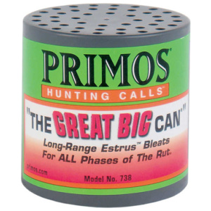 THE GREAT BIG CAN