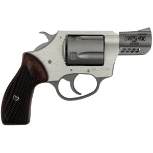 CHARTER ARMS COYOTE 380ACP SS 2" 5RD