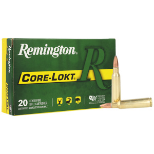 REMINGTON 250 SAVAGE 100GR - CORE-LOKT SP 20RD 10BX/CS