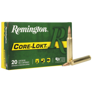 REMINGTON 300 RUM 180GR - CORE-LOKT PSP 20RD 10BX/CS